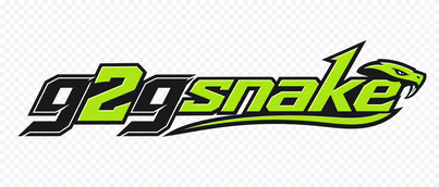 g2gsnake